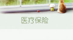 <b>湘潭2017城鄉居民醫保實行政府補助和個人繳費方式</b>