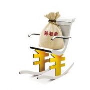 廣元共征收基本養老保險基金4.05億