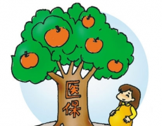 上海政府負責人答疑：大學生醫保報銷為何難？