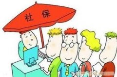 河南省行政區域內社會保險費由地稅機關征收