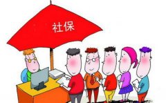 廣東省地稅征收社保費十七載成效卓著