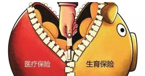生育、醫療保險合并實施試點