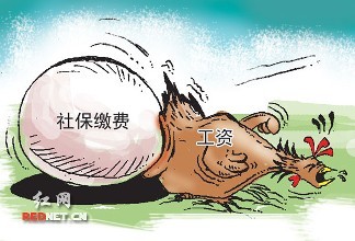 公司繳納的社保，還不如換成現金給我合適，這樣真的對嗎？