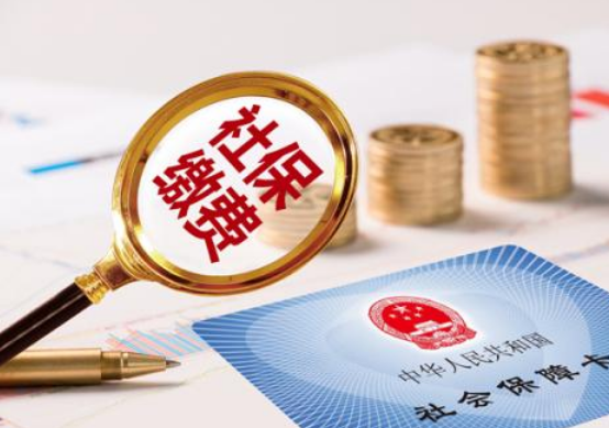 不通過單位繳納社保養老金而是個人繳納，劃算不劃算？